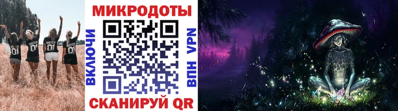 купить наркоту  Туран  MEGA зеркало  Псилоцибиновые грибы мухоморы 